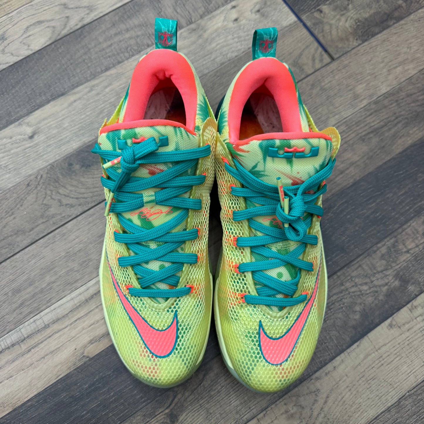 LeBron 12 Low Lebronoldo Sz 9 (Preowned)