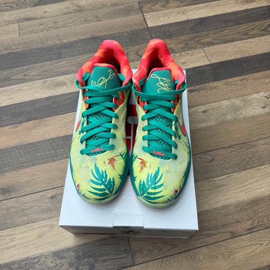LeBron 9 LeBronald Palmer Sz 9 (Preowned)